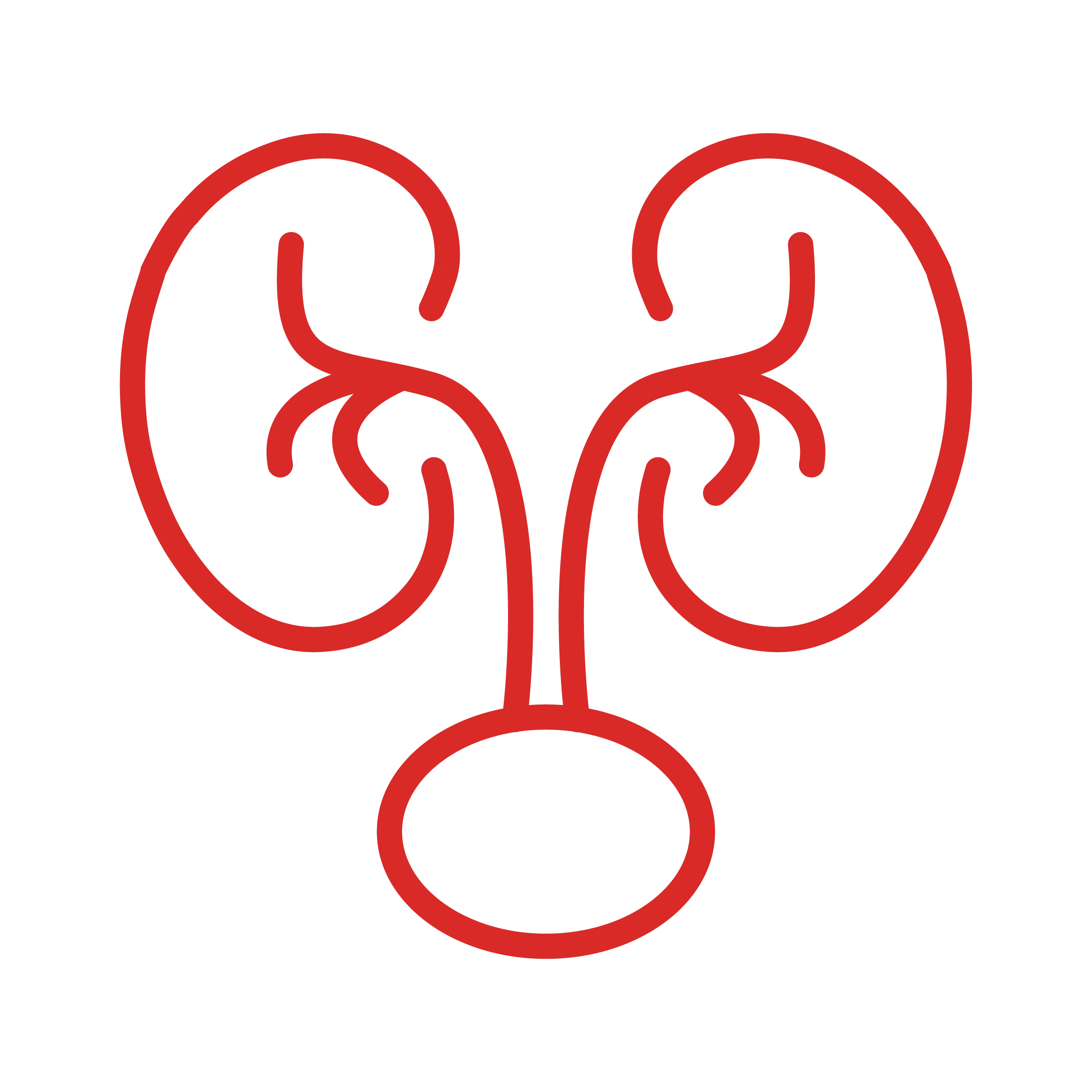 Kidney icon