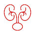 Kidney icon