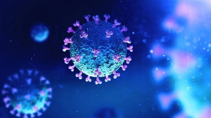 Covid Virus image